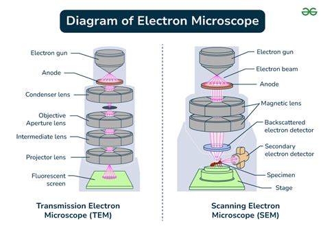 electron microscope parts|Microscopy: Intro to microscopes & how they work (article) .